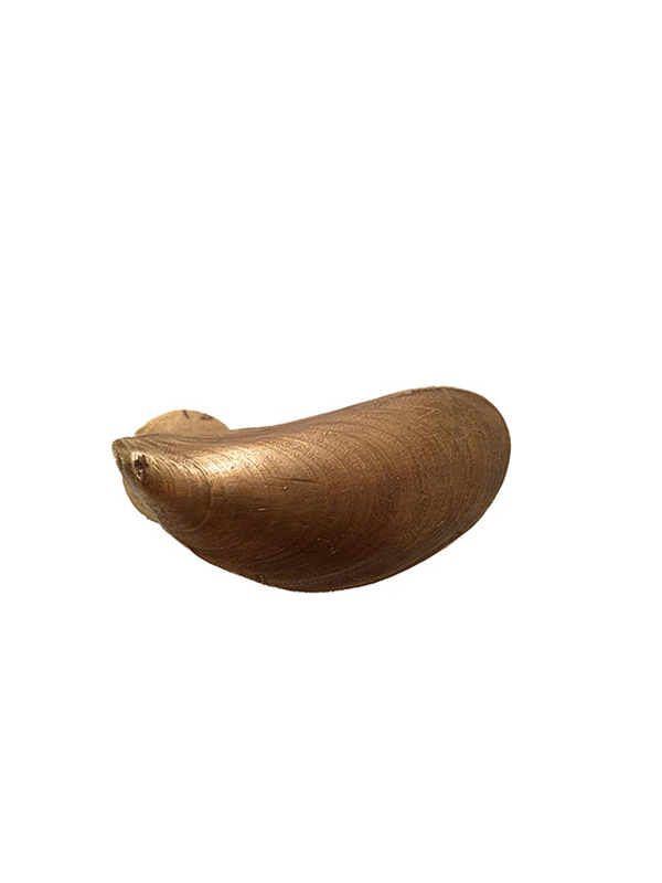 MARIE LUND - Poignée de porte