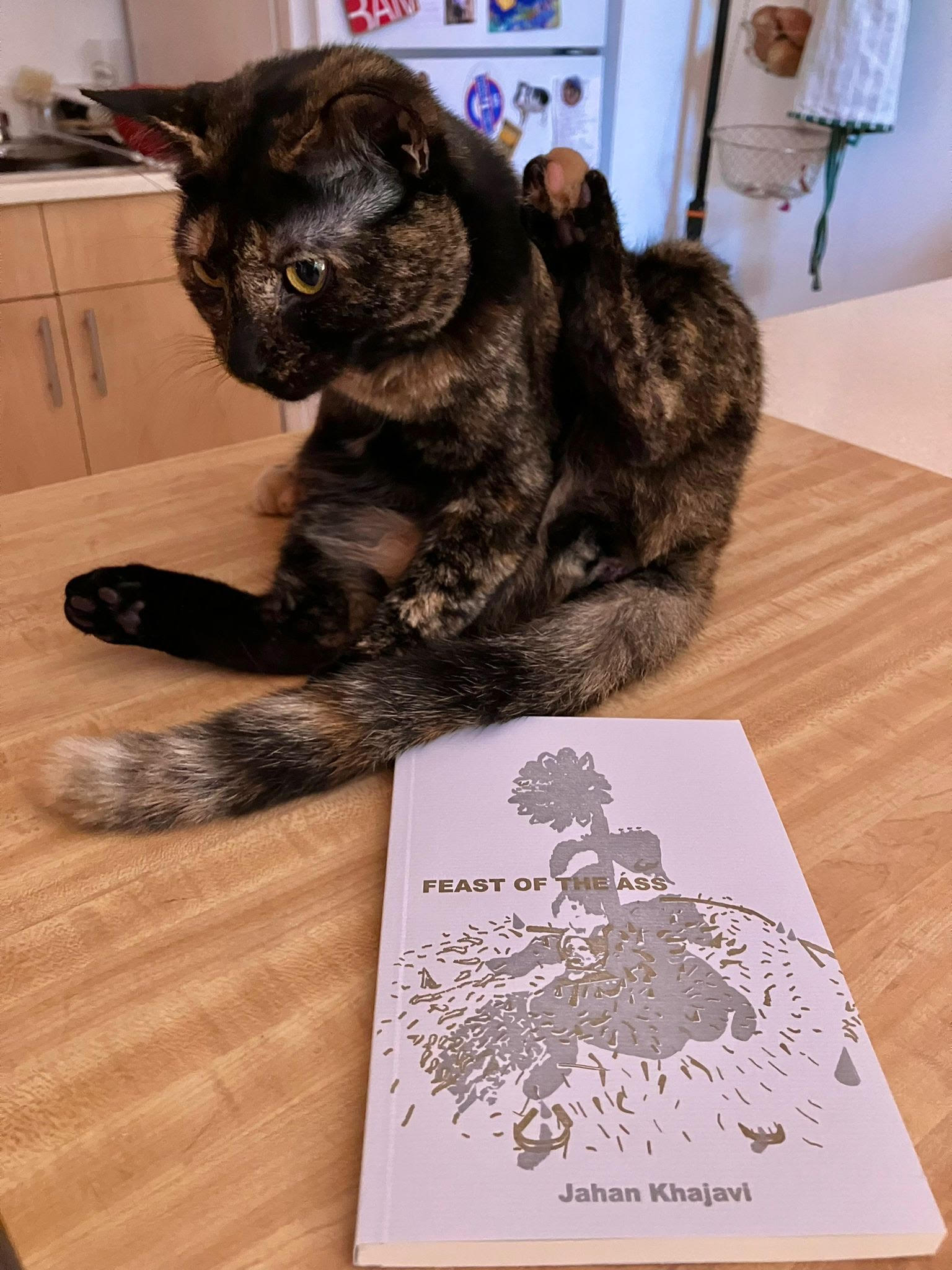  - Feast of the Ass event