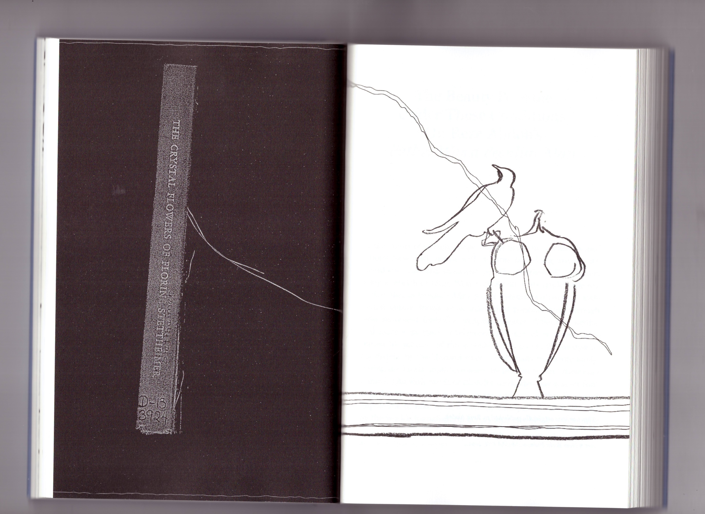  - “Dispersed Events” – Paris launch! @ galerie Chantal Crousel