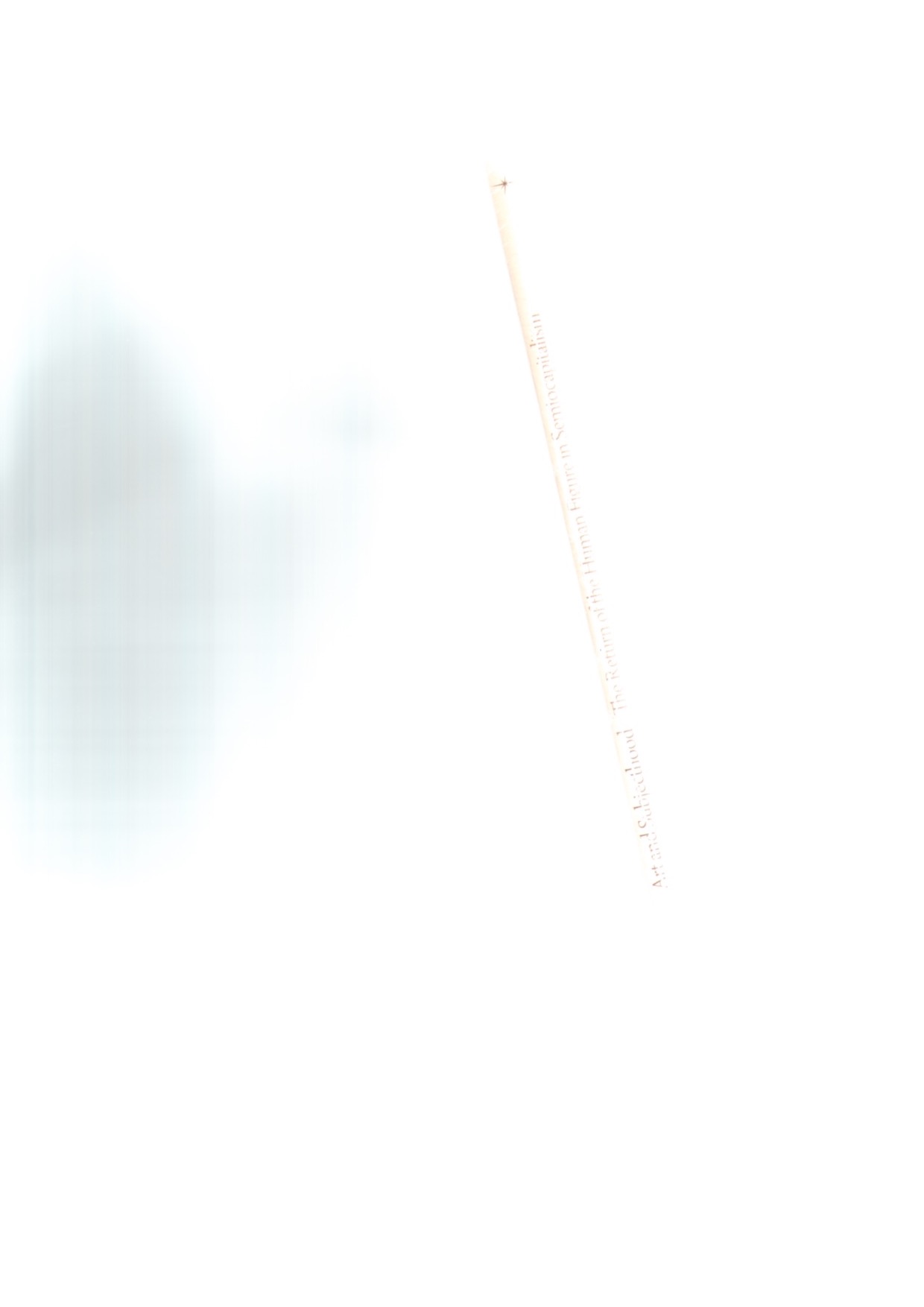 GRAW, Isabelle; BIRNBAUM, Daniel; HIRSCH, Nikolaus (eds.) - Art & Subjecthood. The Return of the Human Figure in Semiocapitalism