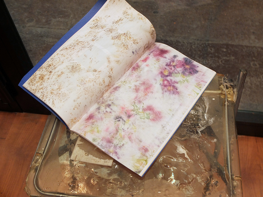 BARRADA, Yto - The Sample Book