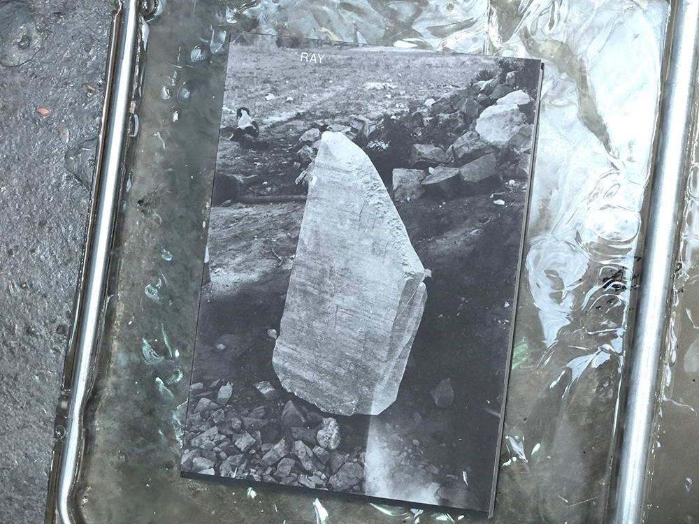 KRIEMANN, Susanne - Ray