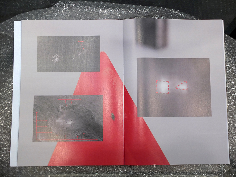 NOVITSKOVA, Katja - Dawn Mission