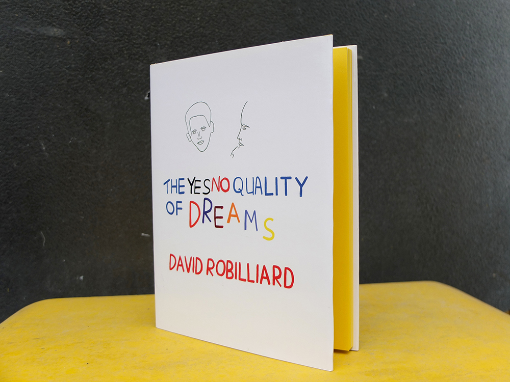 ROBILLIARD, David - The Yes No Quality of Dreams