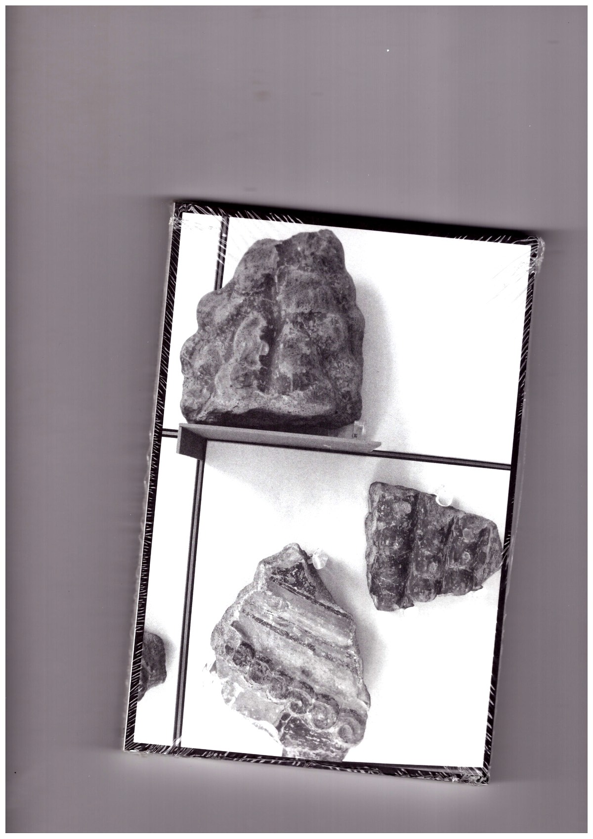 KONRAD, Aglaia - SCHAUBUCH: Skulptur