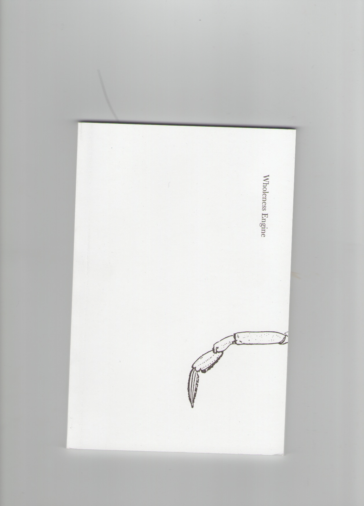 RADON, Lisa - Wholeness Engine