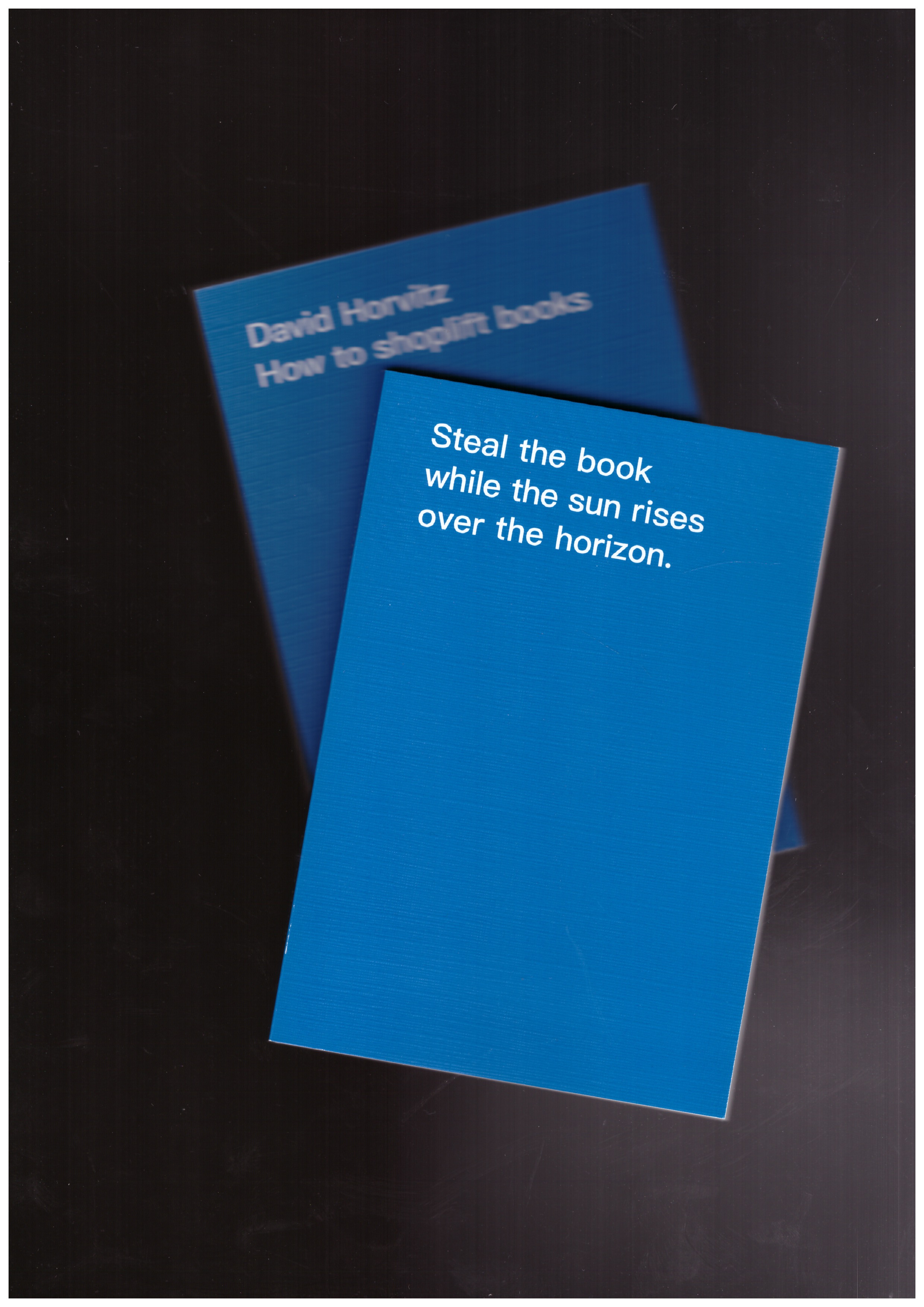 HORVITZ, David - How To Shoplift Books