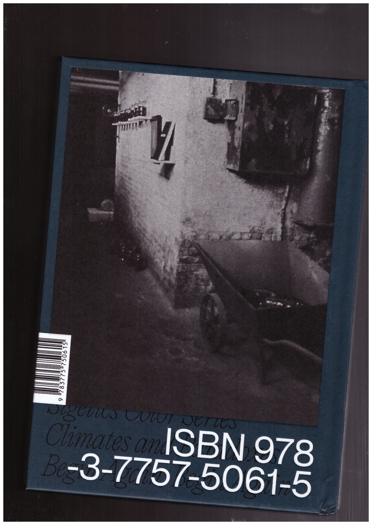 GREEN, Renée - Inevitable Distances