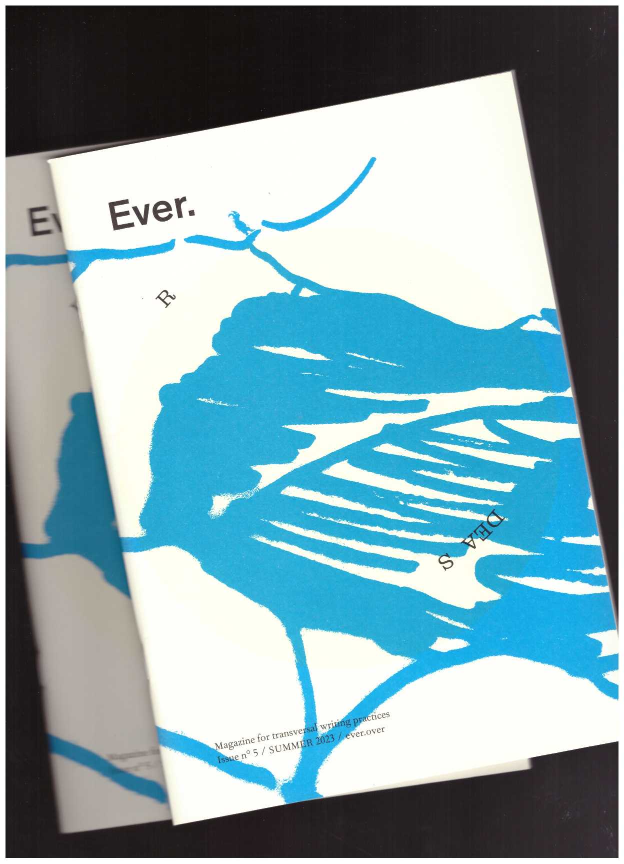 CHAPUIS SCHMITZ, Delphine; BACHMANN, Nicole; STEINBERGER, Robert (eds.) - Dears #5