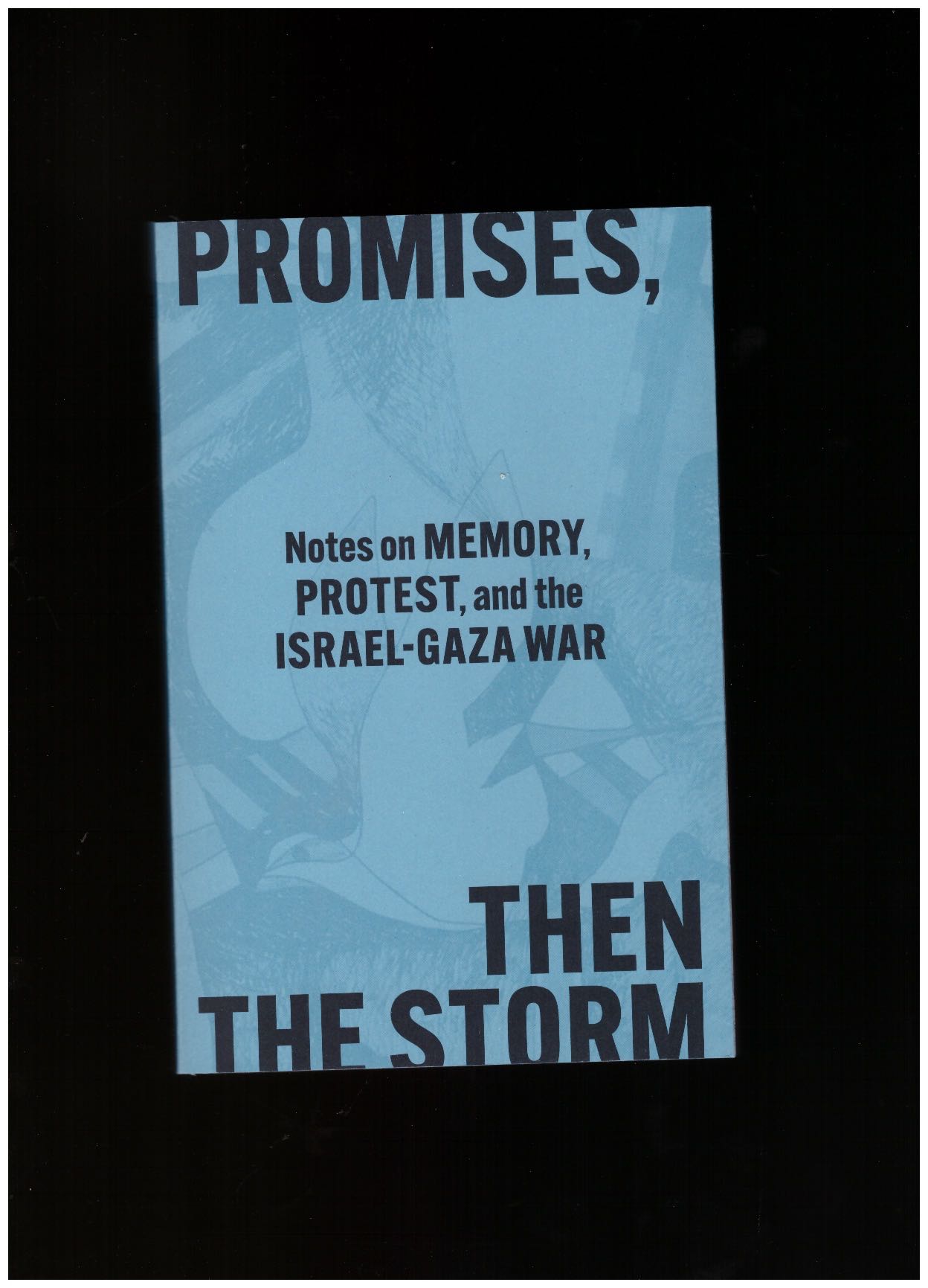 McALISTER, Melani - Promises, Then the Storm: Notes on Memory, Protest, and the Israel–Gaza War