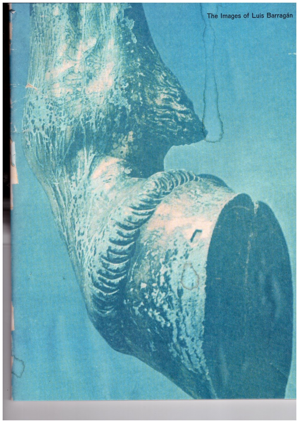 MANDERS, Luis; WILLEMS, Roger - The Images of Luis Barragán