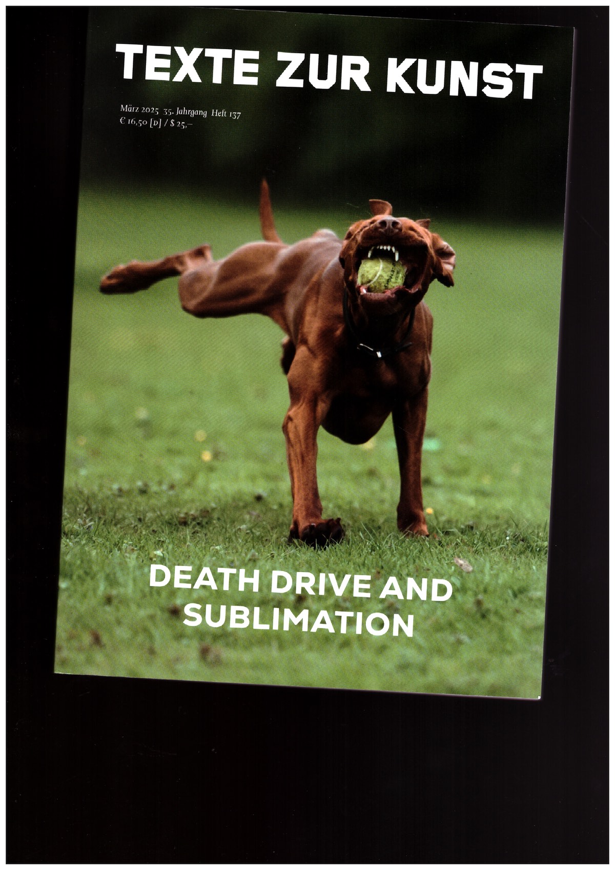 GRAW, Isabelle; HUBER, Leonie; KÖLBL, Antonia; SINOFZIK, Anna (eds.) - Texte Zur Kunst 35/137 (März 2025) Death Drive and Sublimation