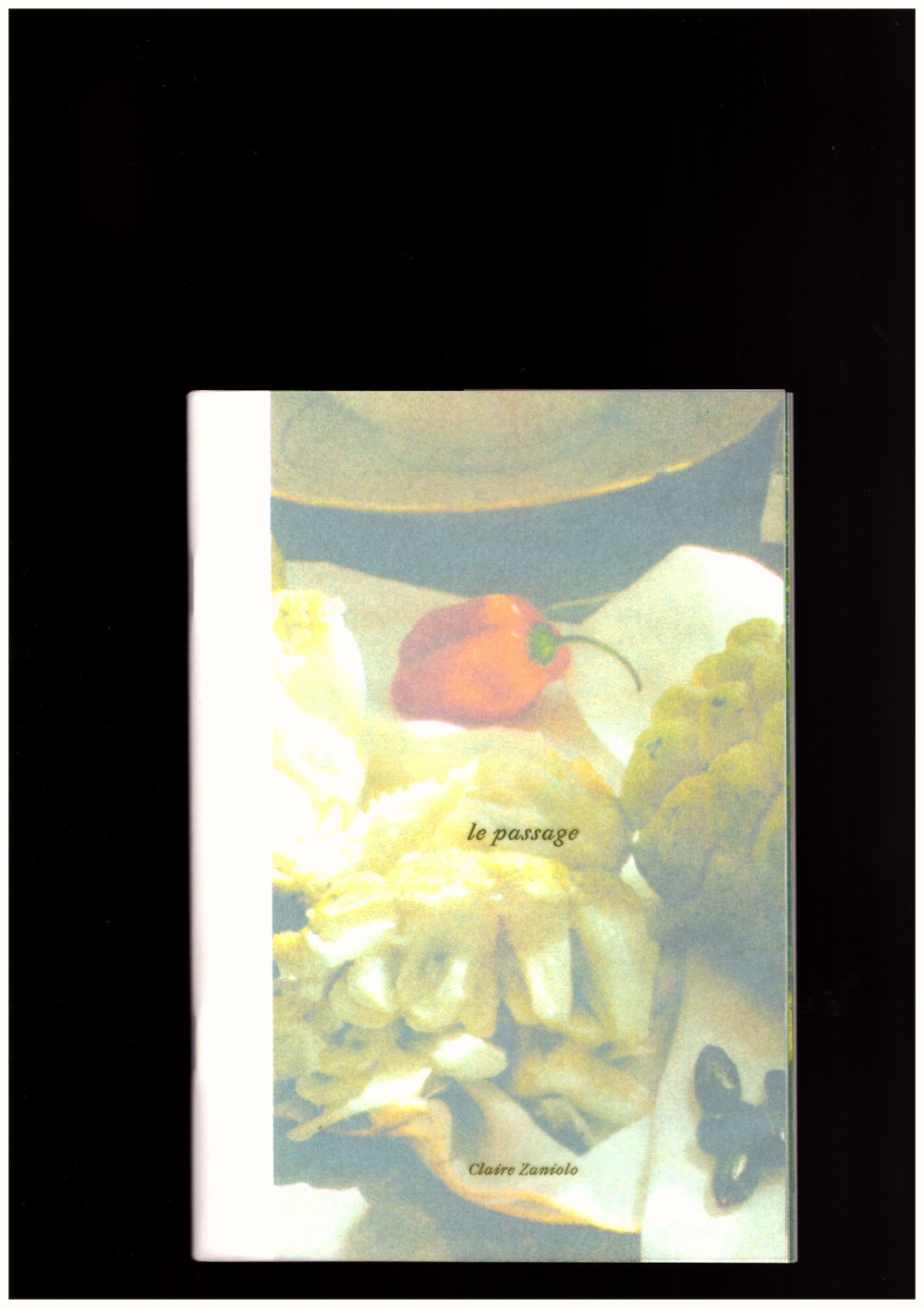 ZANIOLO, Claire - Le passage