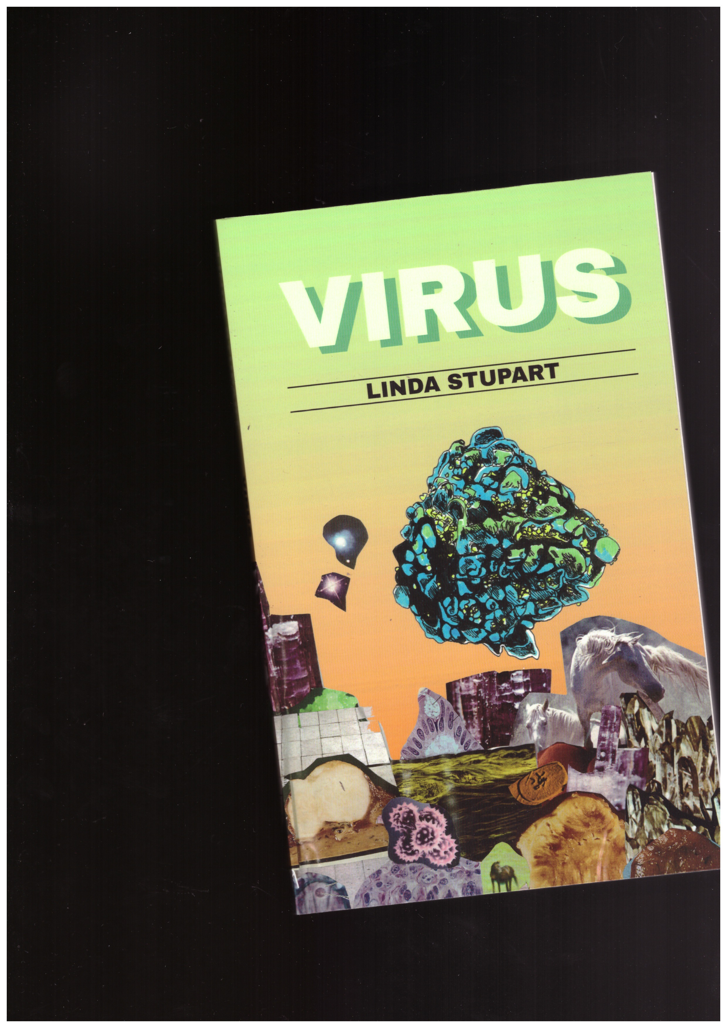STUPART, Linda - Virus