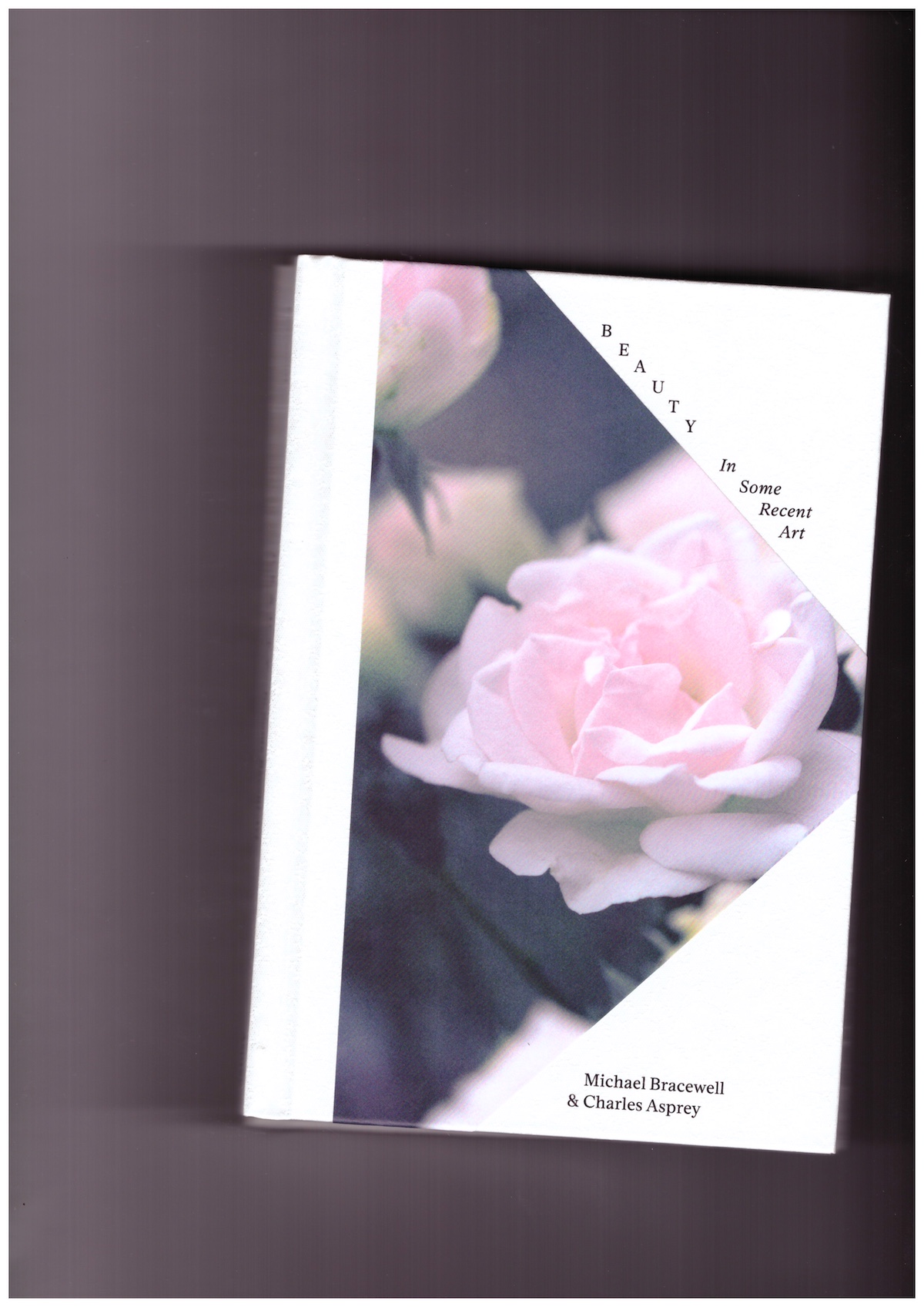 BRACEWELL, Michael; ASPREY, Charles - Beauty: In Some Recent Art