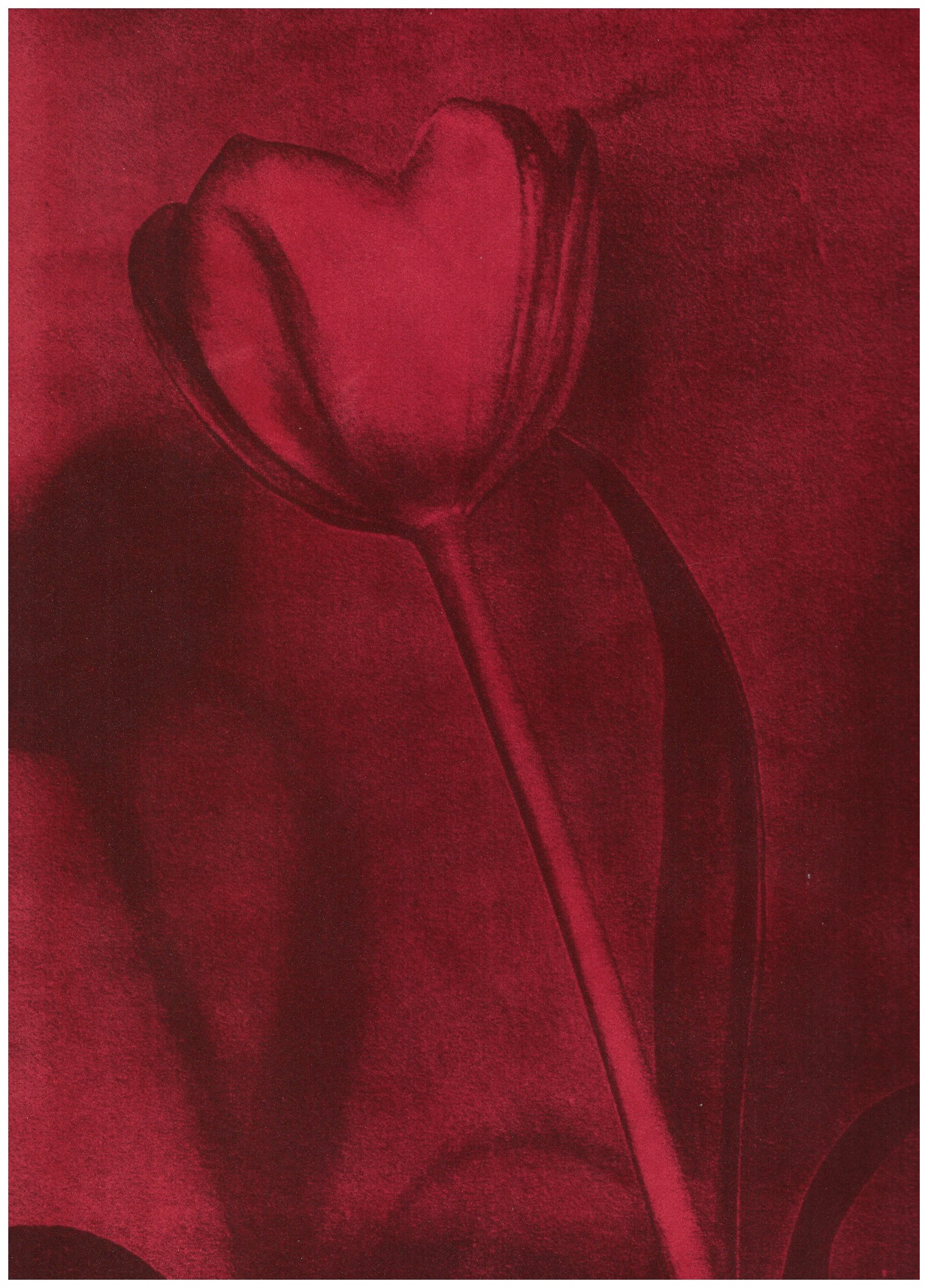 JONES, Poppy - Poppy Jones