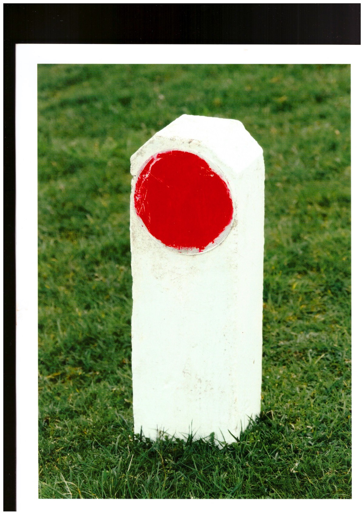 GREEN, Clover - Dialogues