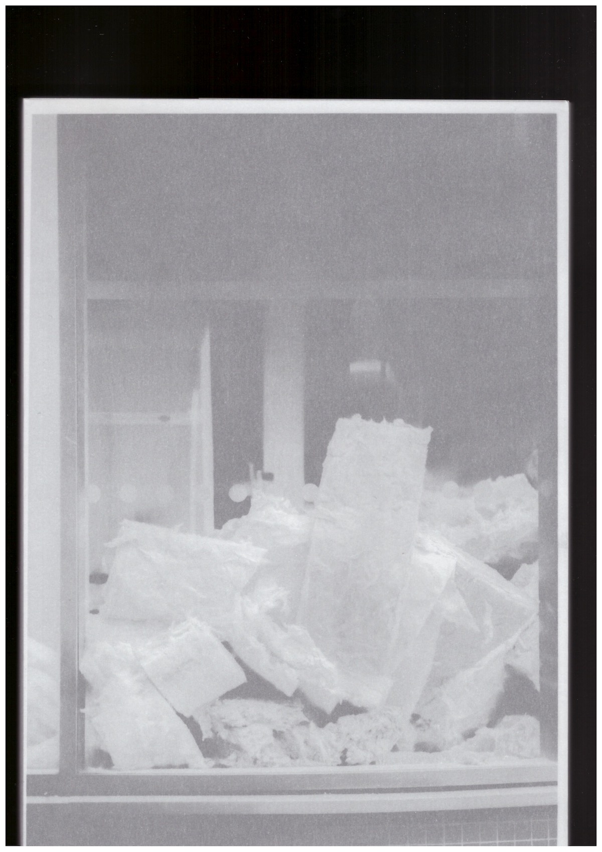 MASSEY, Mikey - Flying Freehold