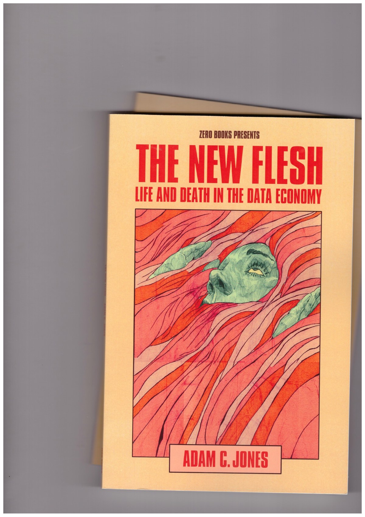 JONES, Adam C. - The New Flesh