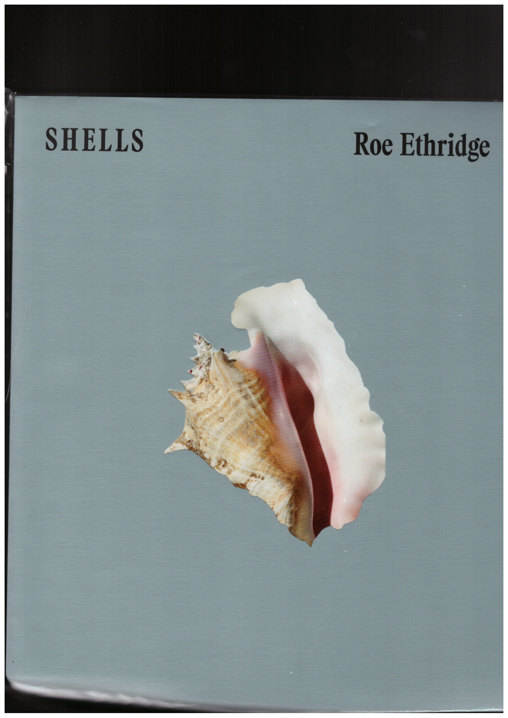ETHRIDGE, Roe - Shells