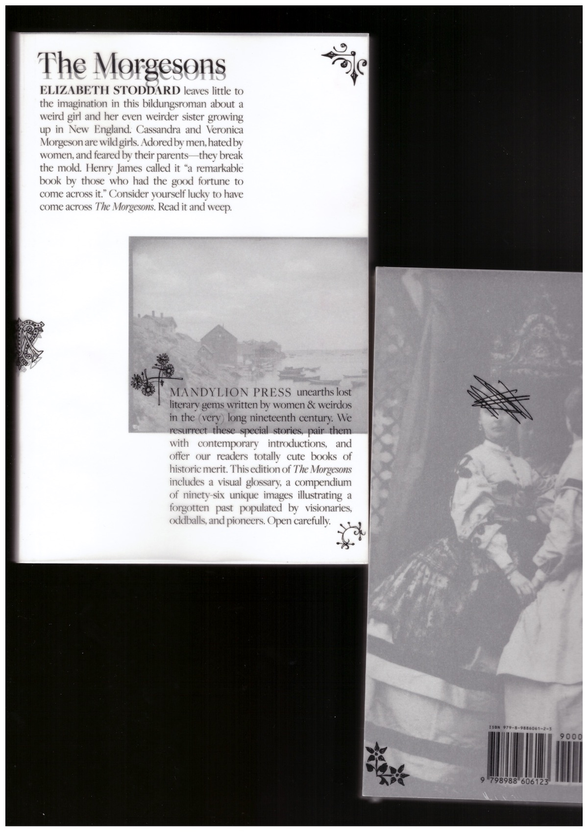 STODDARD, Elizabeth - The Morgesons