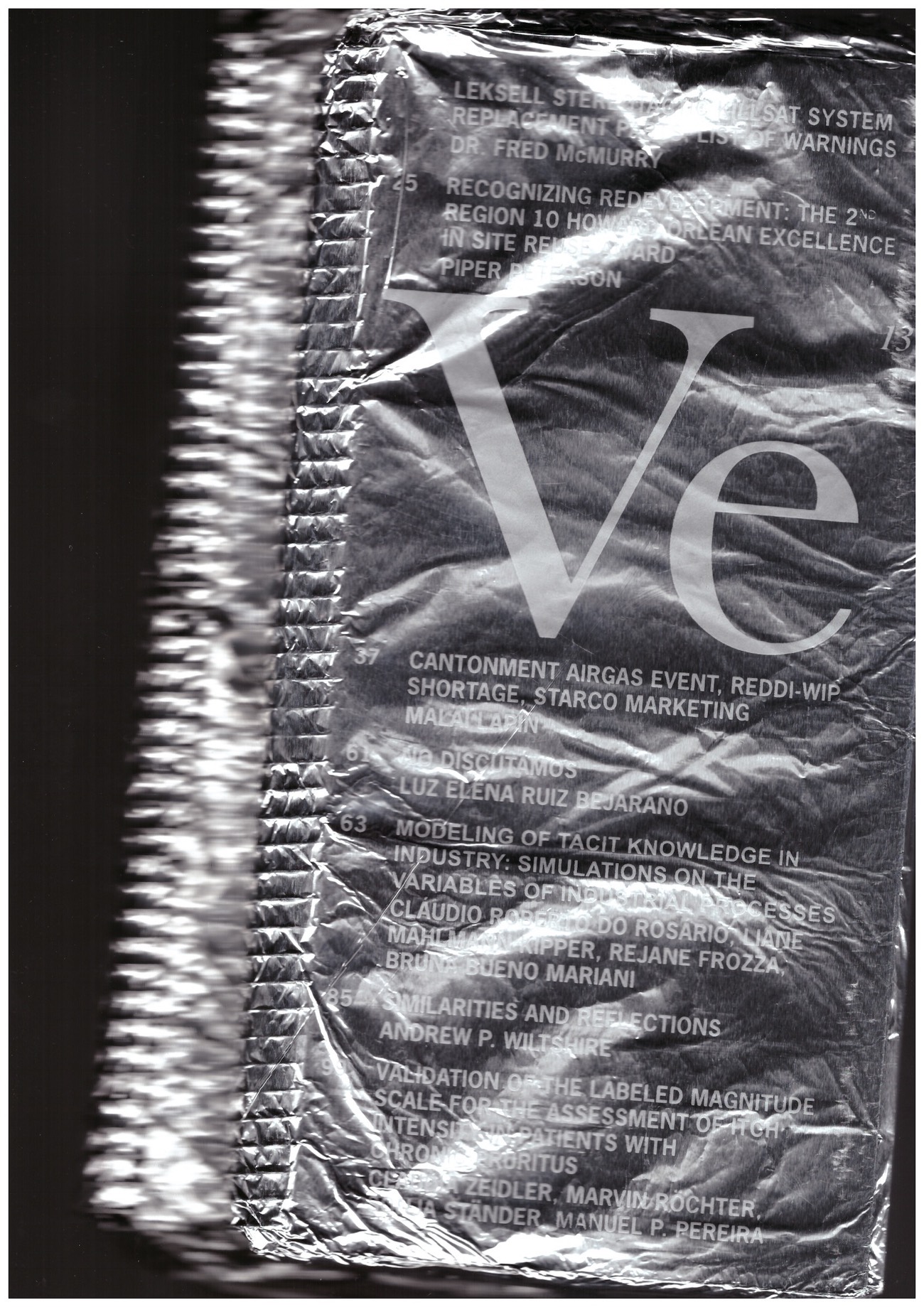 JAMISON, Flint - Veneer 13 of 18