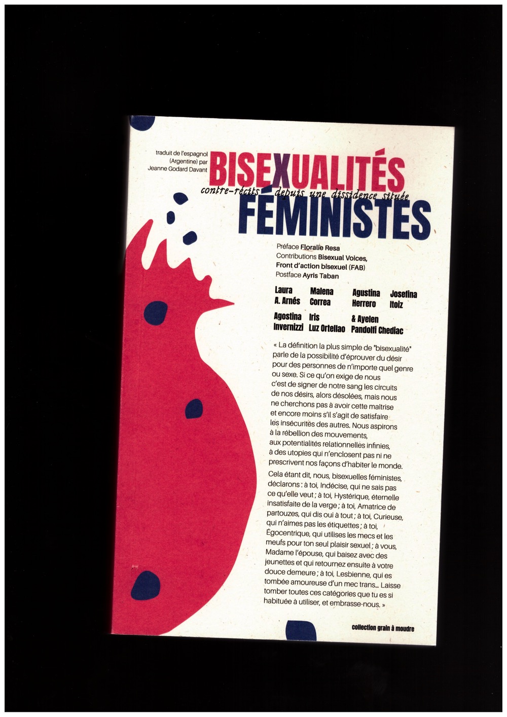 VARIOUS - Bisexualités féministes. Contre-récits depuis une dissidence située