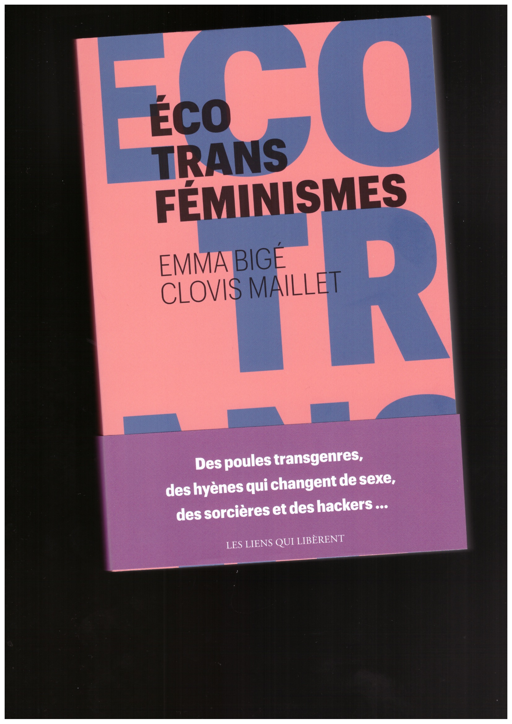 MAILLET, Clovis; BIGÉ, Emma - Écotransféminismes