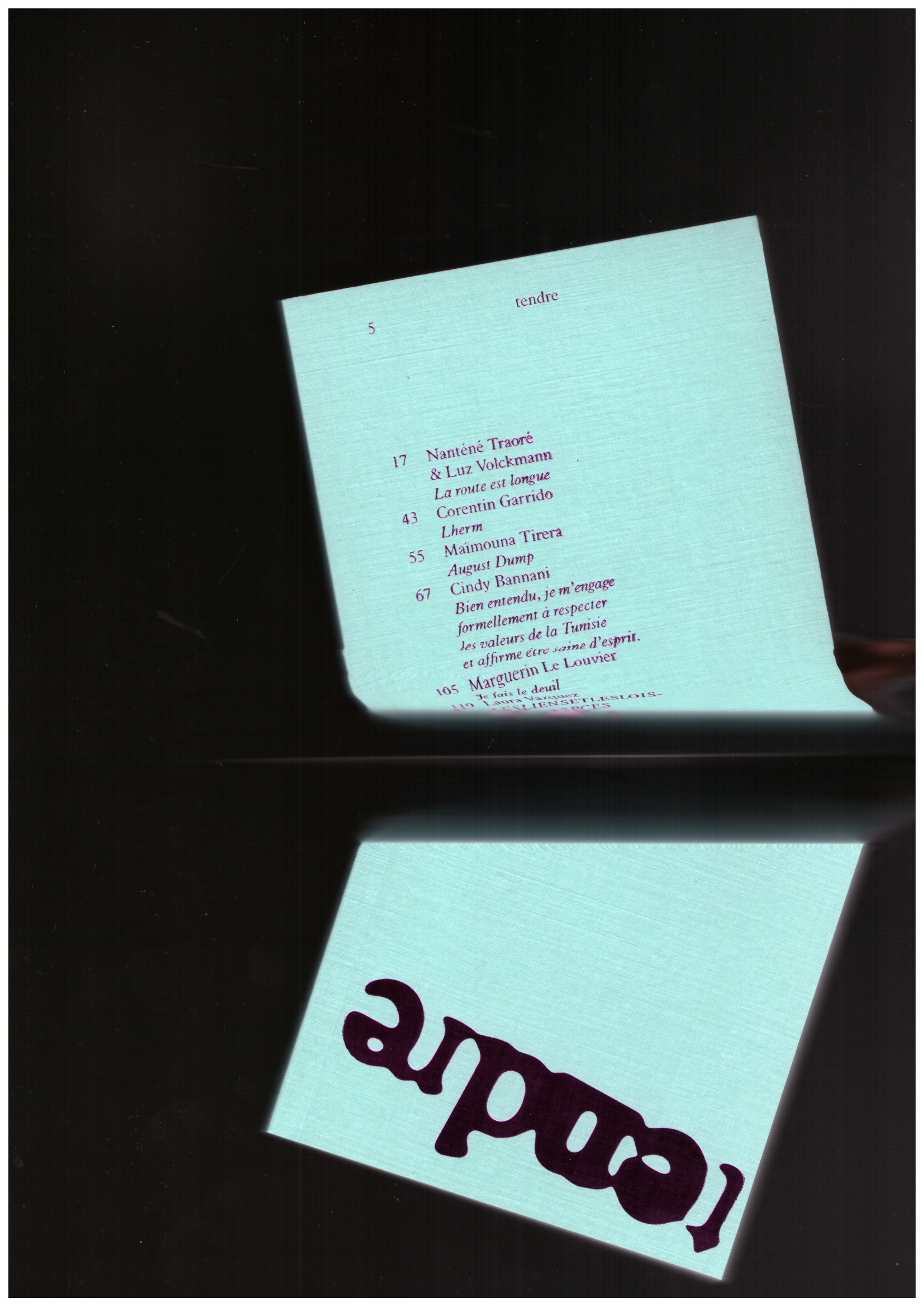 CHANUT, Henri (ed.) - Tendre #5