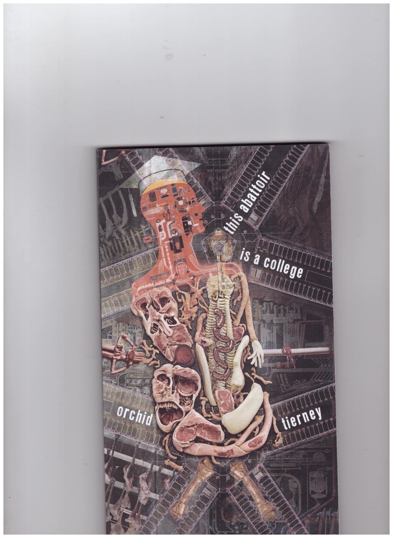 TIERNEY, orchid  - this abattoir is a college