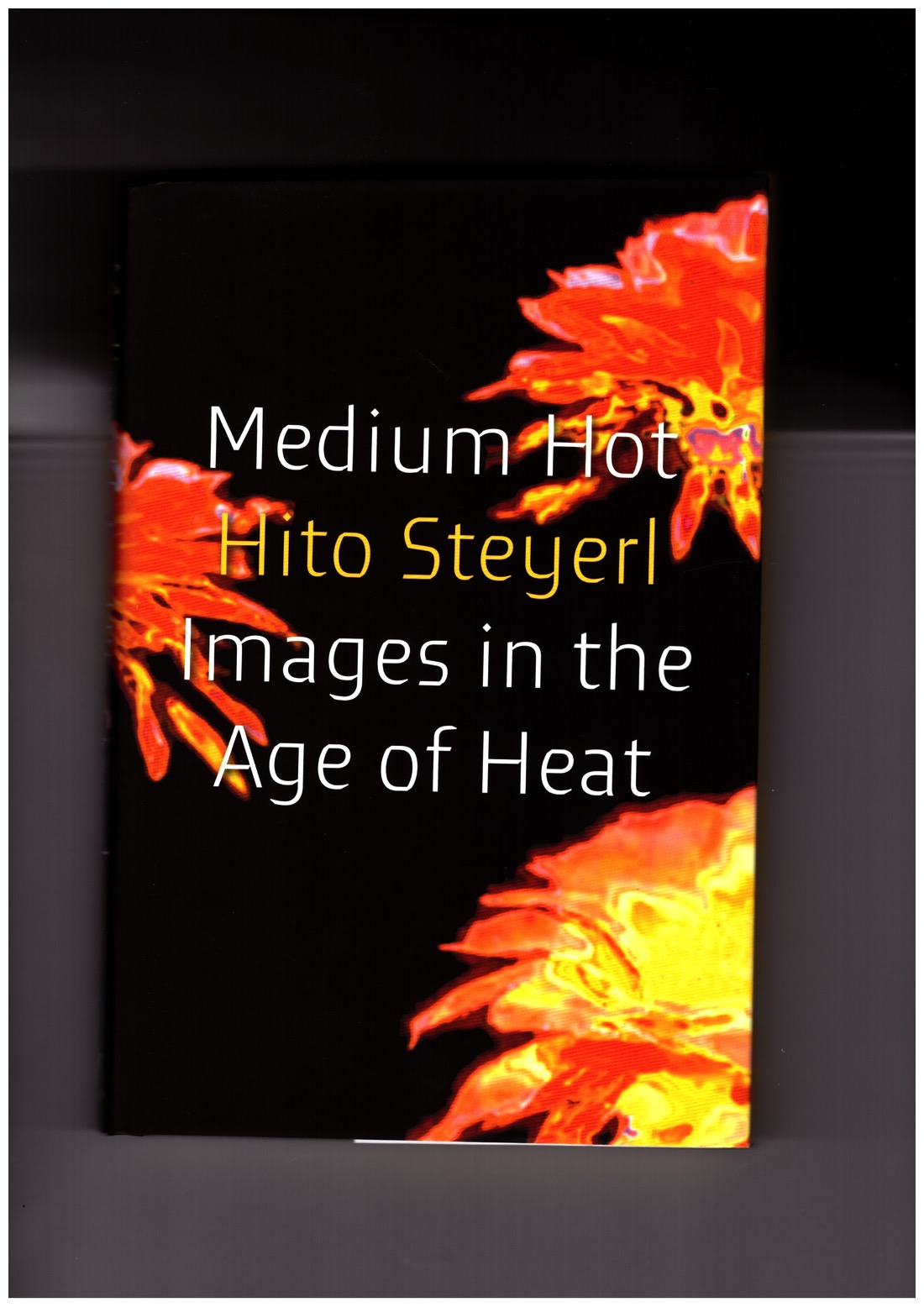 STEYERL, Hito - Medium Hot: Images in the Age of Heat