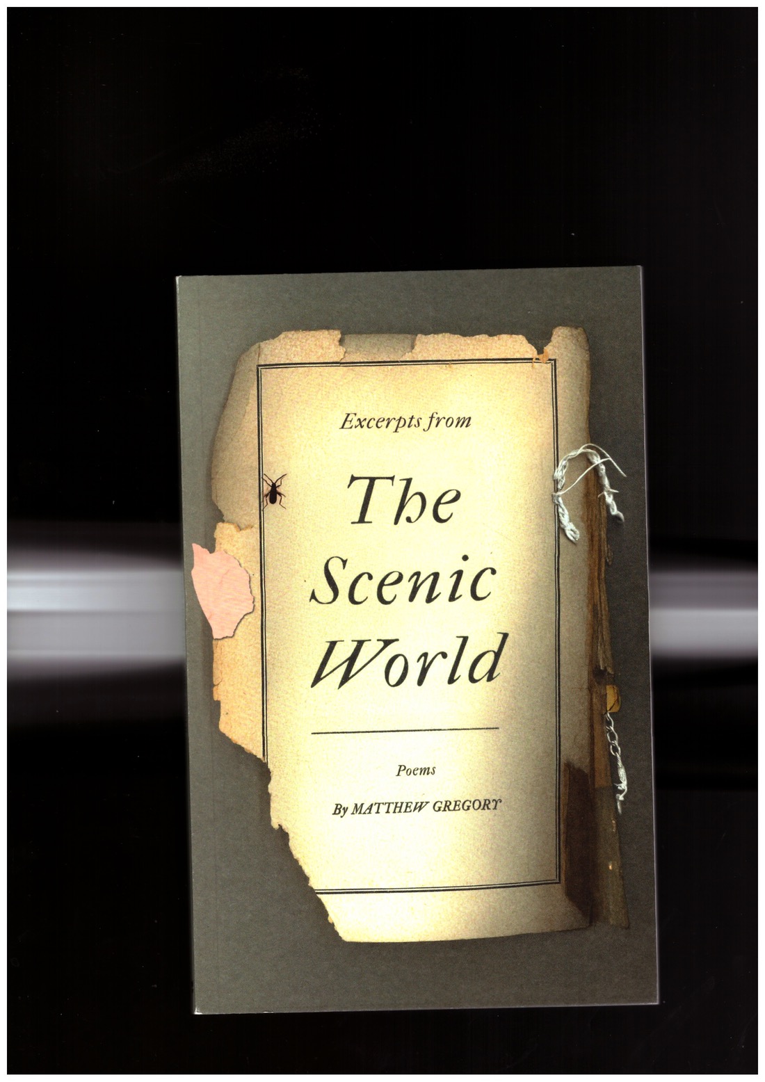 GREGORY, Matthew - Excerpts from The Scenic World