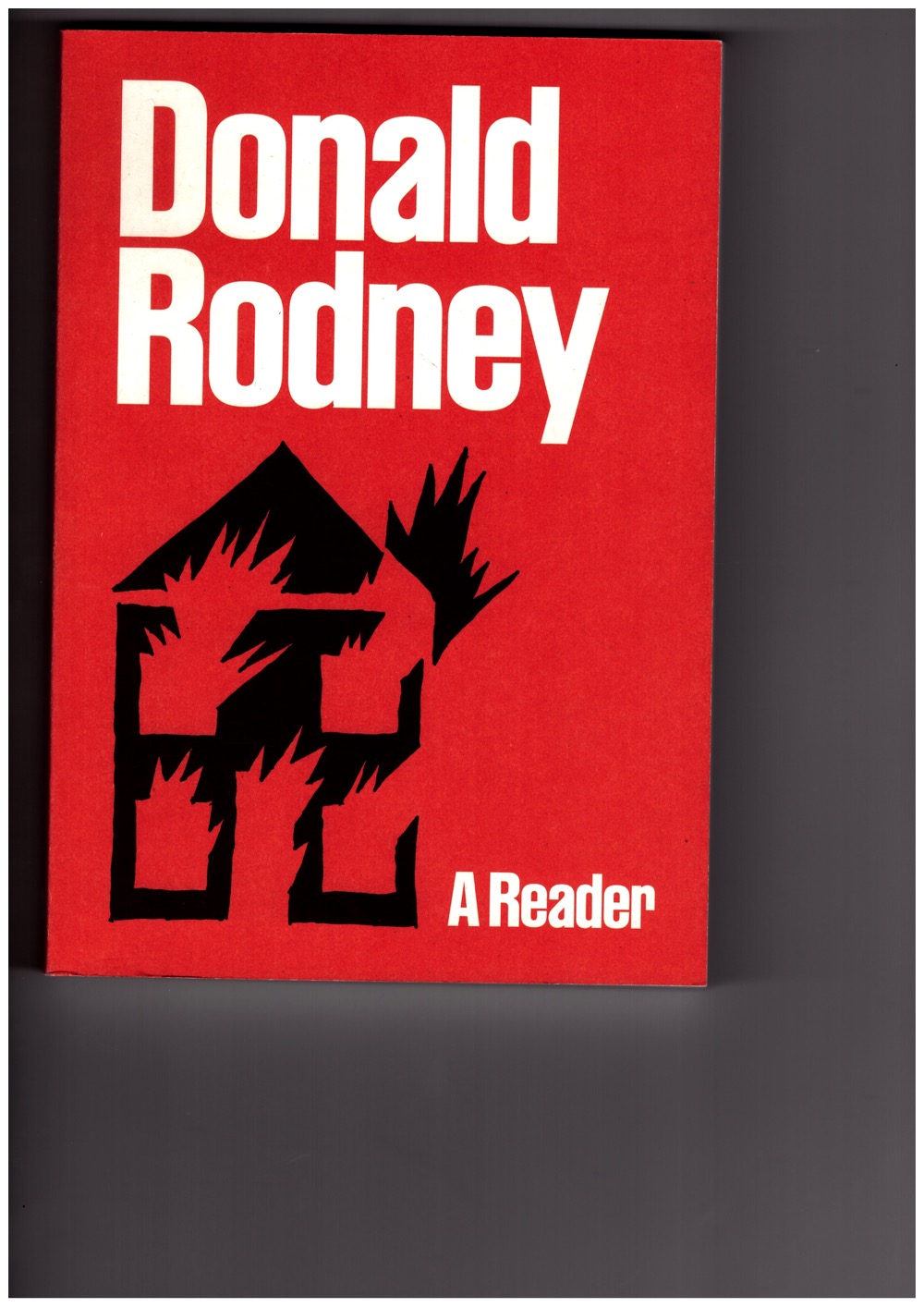 RODNEY, Donald; TAWADROS, Gilane (ed.); LECKIE, Robert (ed.); YIP, Nicole (ed.); FOOTE, Cameron (ed.) - Donald Rodney: A Reader