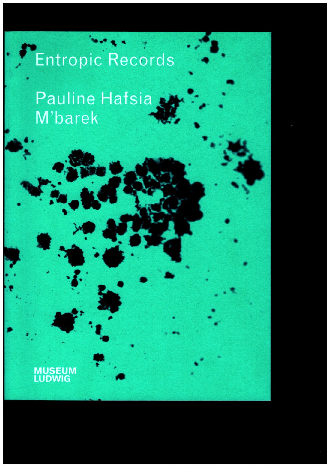 M’BAREK, Pauline Hafsia; ENGELBACH, Barbara (ed.) - Entropic Records