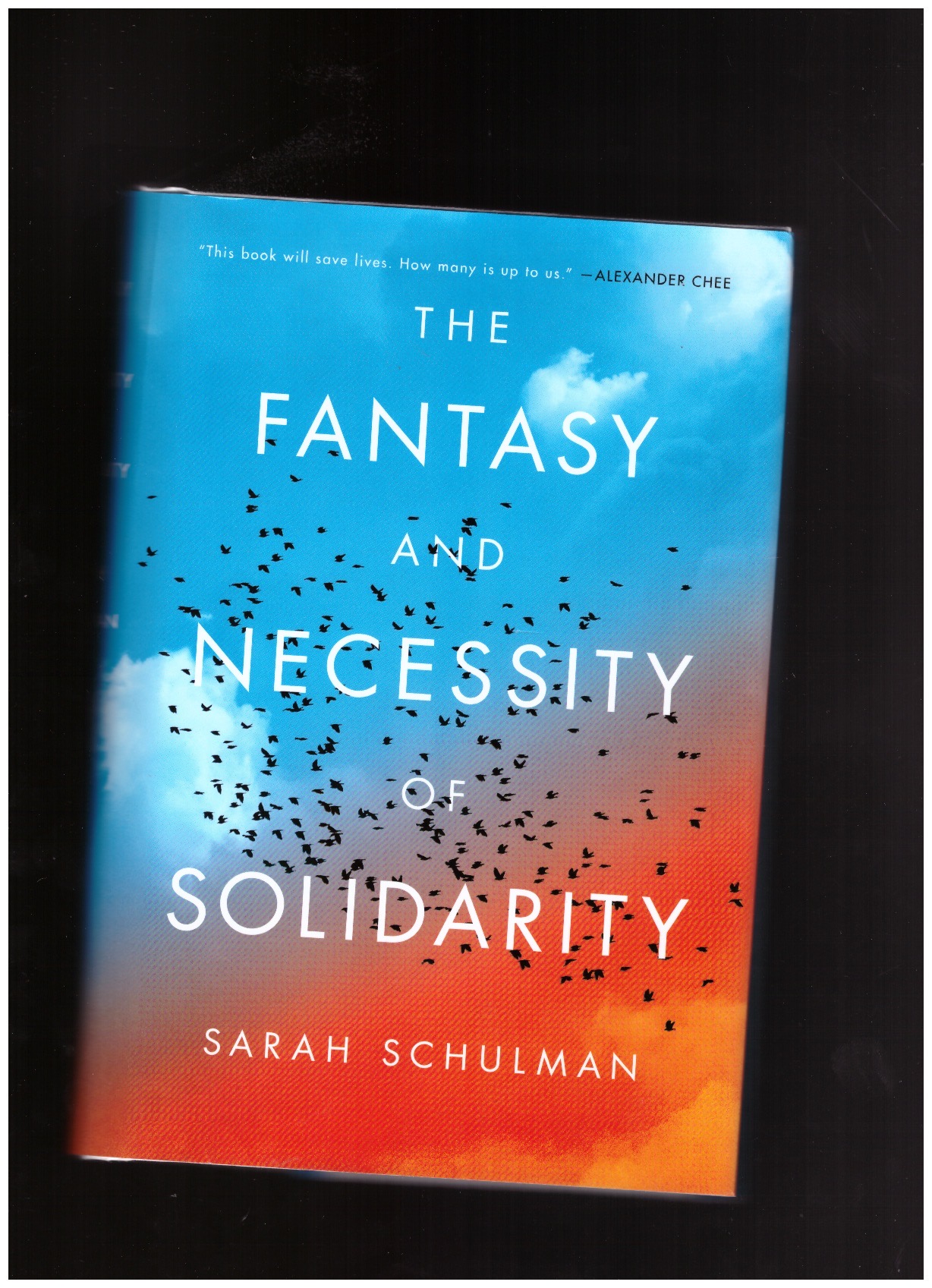 SCHULMAN, Sarah - The Fantasy and Necessity of Solidarity