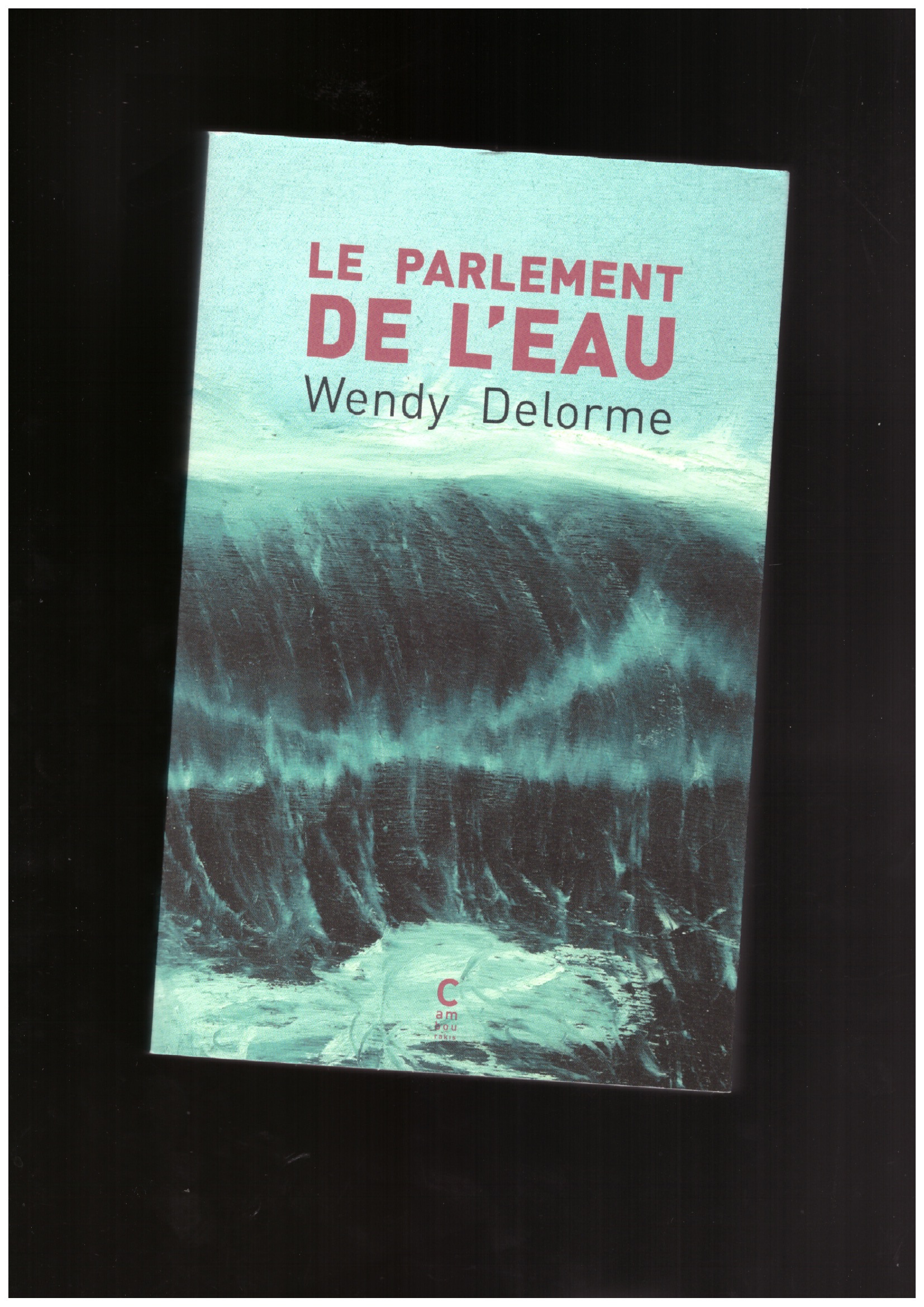 DELORME, Wendy - Le Parlement de l’eau
