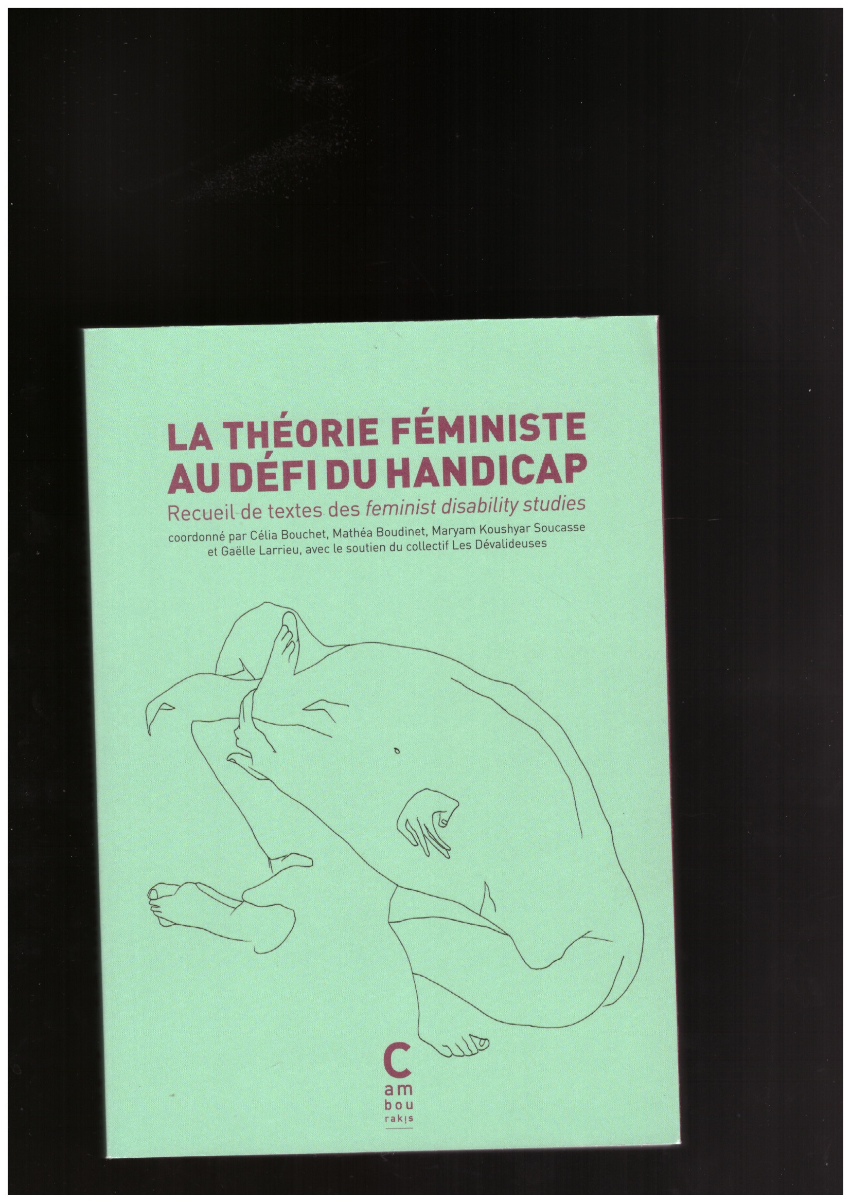 BOUCHET, Célia; BOUDINET, Mathéa; KOUSHYAR SOUCASSE, Maryam; LARRIEU, Gaëlle; LES DÉVALIDEUSES (eds.) - La théorie féministe au défi du handicap