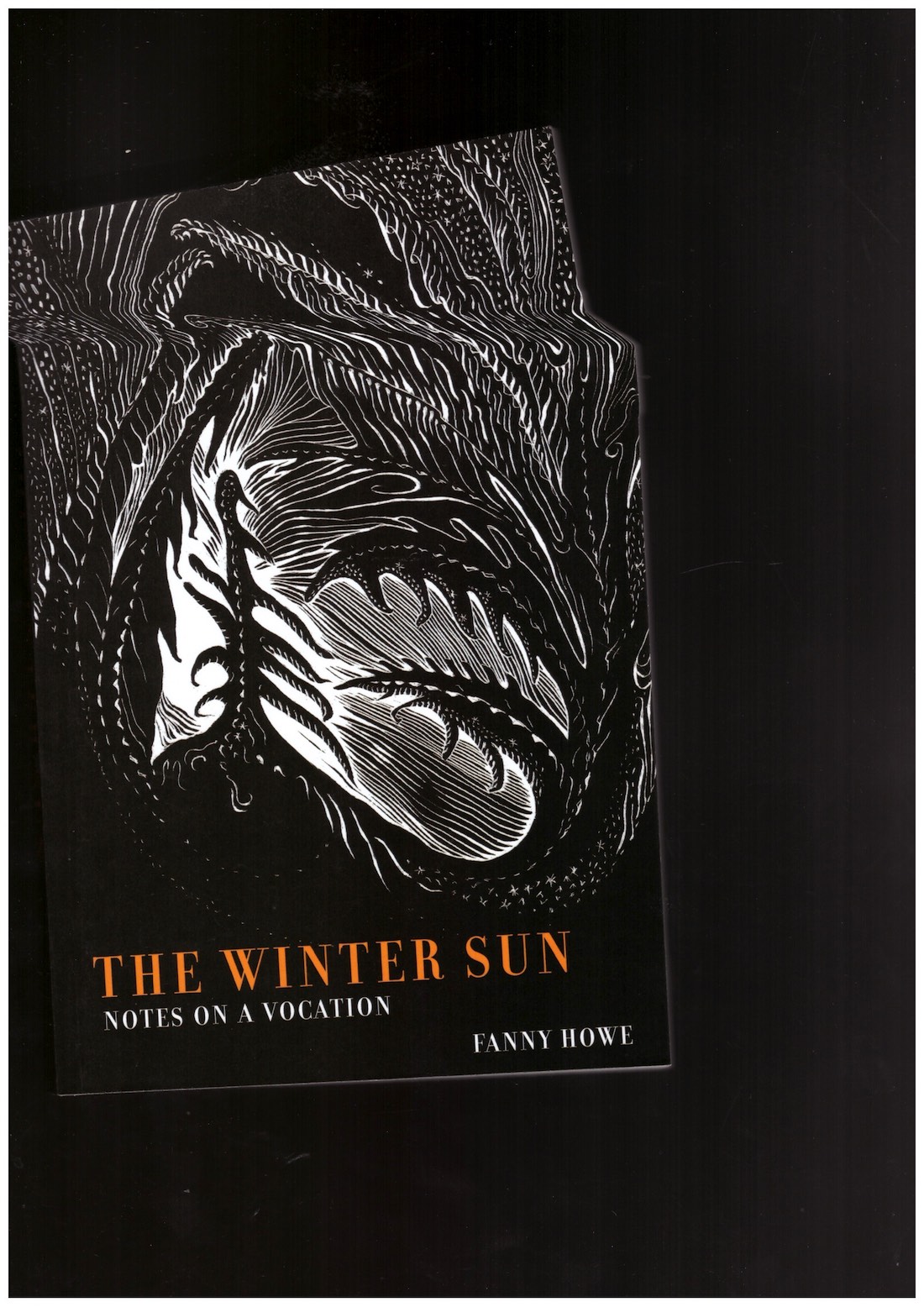 HOWE, Fanny - The Winter Sun. Notes on a Vocation