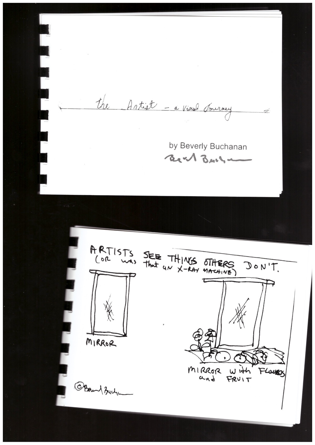 BUCHANAN, Beverly - The Artist – A Visual Journey