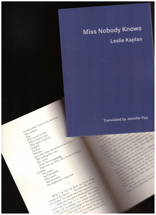 launch : The Book of Skies & Miss Nobody Knows by Leslie Kaplan